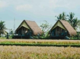 Cabin Lumbung – beautiful ricefield view! – Bali – Indonesia