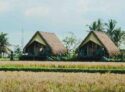 Cabin Lumbung – beautiful ricefield view! – Bali – Indonesia