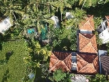Ubud Tropical – Bali – Indonesia