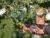 Ubud Tropical – Bali – Indonesia