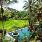 Umasari Rice Terrace Villa – Bali – Indonesia