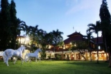 Bali Bungalo – Bali – Indonesia