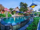 The Dafish Ceningan – Bali – Indonesia