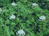 Bagus Jati Health & Wellbeing Retreat – Bali – Indonesia