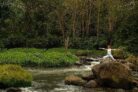 1BR Healing Private Pool+Bathtub+Daily yoga+B’fast – Bali – Indonesia