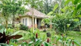 Dewa jati house #2 – Bali – Indonesia