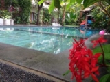 Arjuna Homestay – Bali – Indonesia