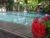 Arjuna Homestay – Bali – Indonesia