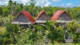 Temeling Jungle Inn – Bali – Indonesia