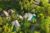 Bamboo Forest 6 BR With Private Pool NE58B – Bali – Indonesia