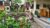 Nyoman Badri Homestay – Bali – Indonesia