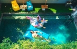 Near Airport! Cozy 1BR Guest House in Kuta – Bali – Indonesia