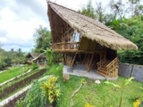 Yeh Baat Jatiluwih by The Lavana – Bali – Indonesia