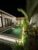Villa Flora – Bali – Indonesia
