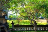 Luxury 1 BR Villa with Garden View #R19 – Bali – Indonesia