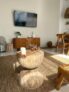 9 min to beach, pool,private Villa Leafy,in Canggu – Bali – Indonesia