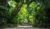 Scuba Tribe Bali Dormitory Kingsize Bed – Bali – Indonesia