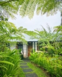 Jungle View Villa – 1 Bedroom with Swimming Pool – Bali – Indonesia