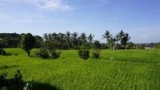 Sari Bamboo Bungalows – Bali – Indonesia