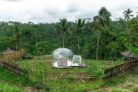 Romantic Bubble Dome Ubud – Bali – Indonesia