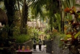 1BR Private Pool with Very Quiet and Relaxing – Bali – Indonesia