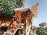 Bunga Jepun – Penida Bambu Green Villas – Bali – Indonesia