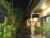 Sari Gong – Guest House and Hostel – Bali – Indonesia