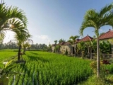 Deluxe Room with 1 BR #V147 – Bali – Indonesia