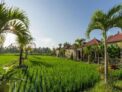 Deluxe Room with 1 BR #V147 – Bali – Indonesia