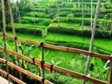 Junjungan Suite Villa – Bali – Indonesia