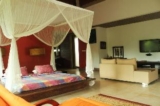 Citrus Tree Luxury Room – Bali – Indonesia