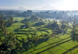 Madani Antique Villas – Bali – Indonesia