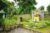 Downtown Monkey Forest – Bali – Indonesia