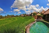 Luxury 2 BR Rice Terrace Private Pool Villa #DN7 – Bali – Indonesia