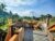 Dau Homestay – Bali – Indonesia