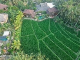 Gusde Tranquil Villas by EPS – Bali – Indonesia
