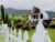 Uma Havana Bedugul – Bali – Indonesia