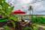 Pula Huts Lembongan – Bali – Indonesia