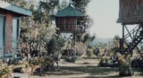 bali tree house – Bali – Indonesia