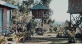 bali tree house – Bali – Indonesia