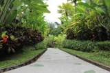 Sanctuary Pool Villa at Payangan, Ubud – Bali – Indonesia