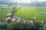 Beehouse Dijiwa Ubud – Bali – Indonesia