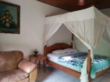 Barclona guesthouses lovina – Bali – Indonesia