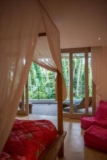 Citrus Tree Deluxe Room – Bali – Indonesia