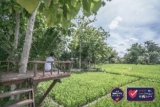 Kajane Yangloni Hotel – Bali – Indonesia