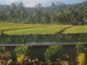 Amartya Puri Green Cottages – Bali – Indonesia