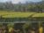 Amartya Puri Green Cottages – Bali – Indonesia