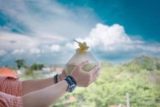 INB ROOM 304 – Bali – Indonesia