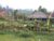 Warung Rekreasi Bedugul Hotel – Bali – Indonesia