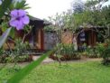 Timbis Homestay Bali – Bali – Indonesia